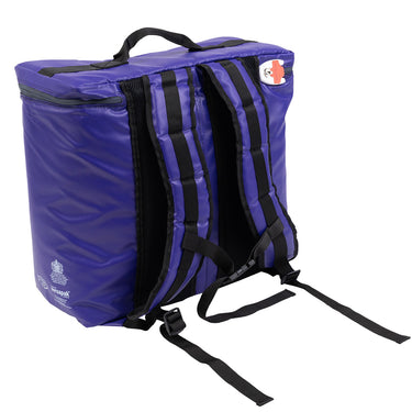Versapak Secure Insulated Food Delivery Backpack Rear